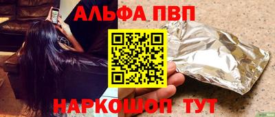 гашик Моздок