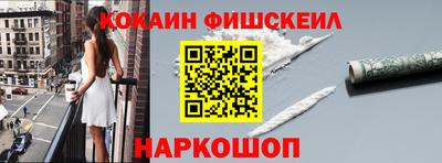 гашик Моздок