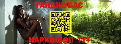 гашик Моздок