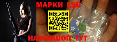 гашик Моздок