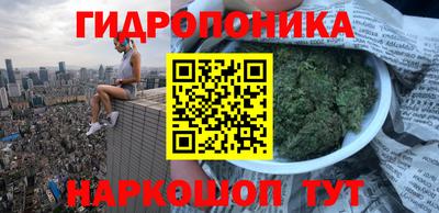 гашик Моздок