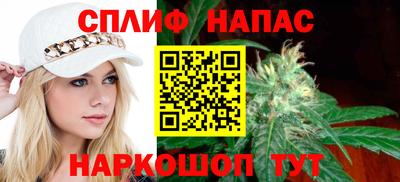 дживик Можга