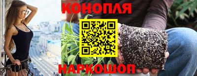 гашик Моздок
