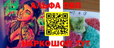 гашик Моздок