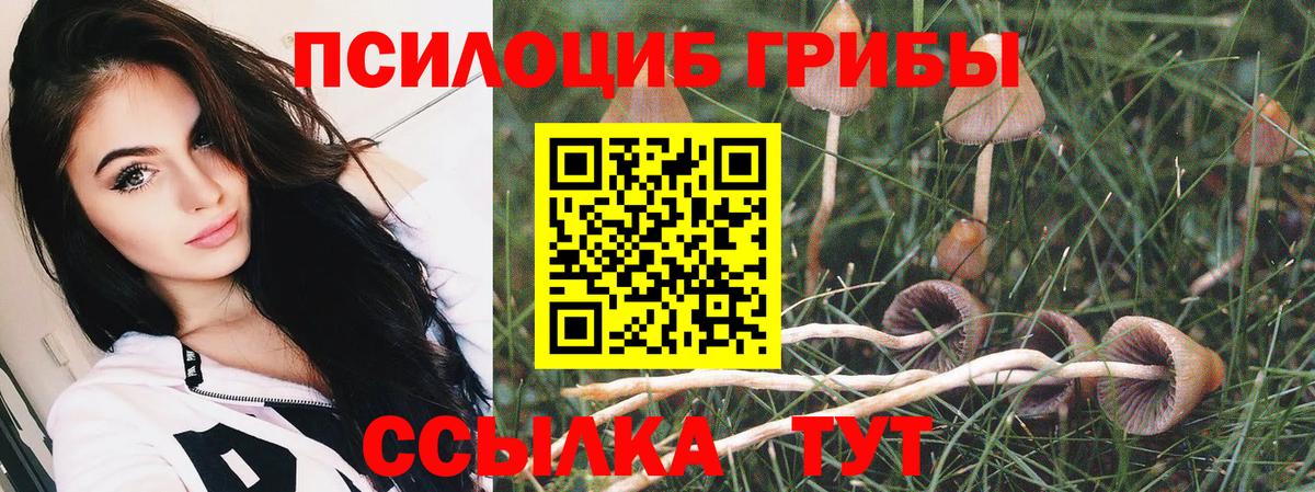 Псилоцибиновые грибы MAGIC MUSHROOMS Верхняя Пышма