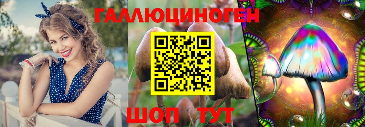 Псилоцибиновые грибы GOLDEN TEACHER  Псилоцибиновые грибы MAGIC MUSHROOMS  Верхняя Пышма  закладка  Вход с VPN 